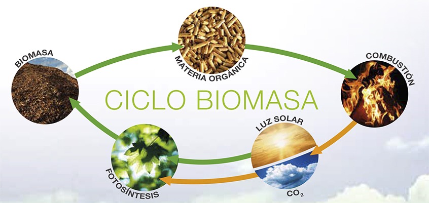 catalogo biomasa cointra 2016