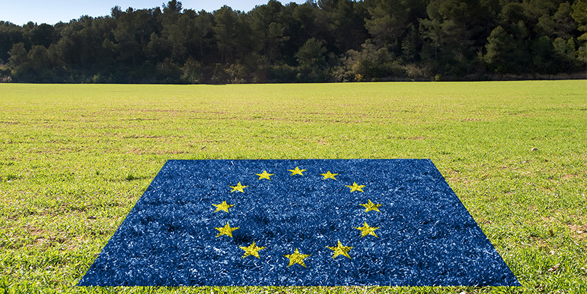 Agnes Gray Ajustable Humillar Europa aborda en la Semana Verde 2019 la legislación sobre medio ambiente |  Cointra